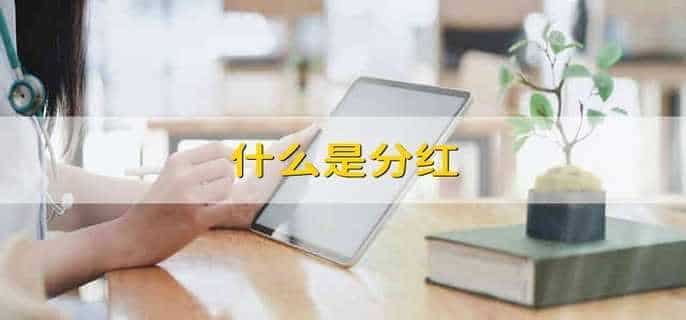 什么是分红