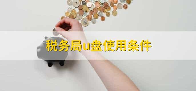 税务局给的一个u盘是啥