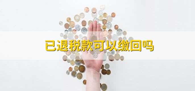 怎样把已退税款退还给税务局