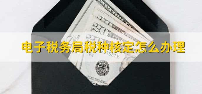 电子税务局税种核定在哪里查询