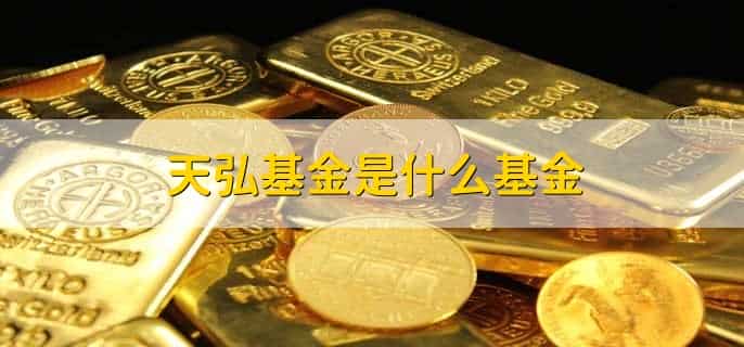 天弘基金是什么基金,公募基金
