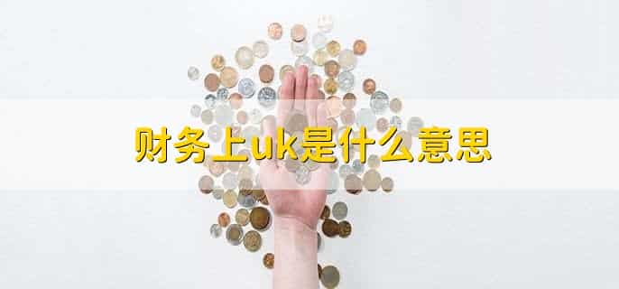财务上uk是什么意思，税务ukey