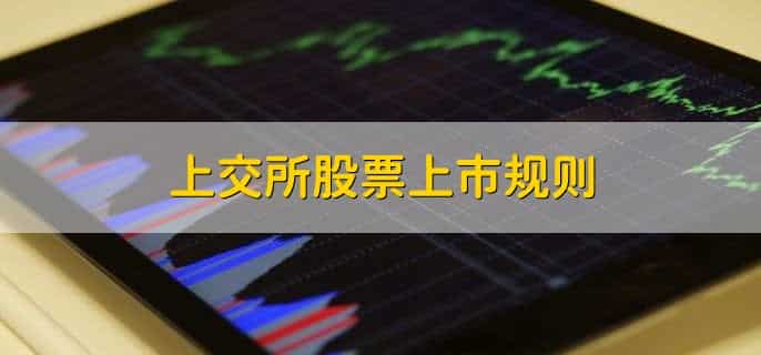 上交所股票上市规则，有以下4点
