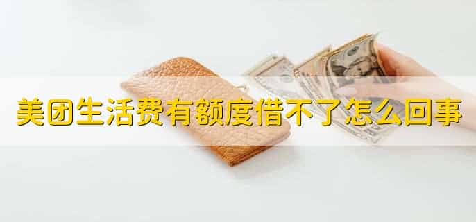 美团生活费有额度借不了怎么回事