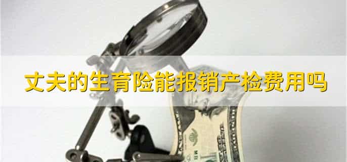 怎么查询生育保险报销进度