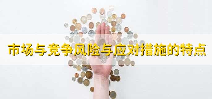 市场与竞争风险与应对措施