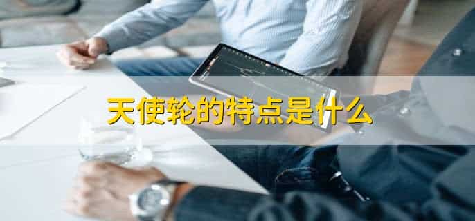 种子轮和天使轮有什么区别