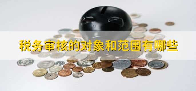 税务审核一直审核中怎么回事