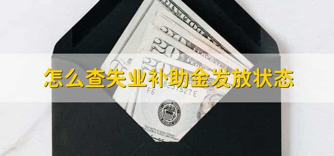 怎么查失业补助金发放状态