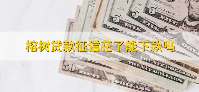 榕树贷款征信花了能下款吗