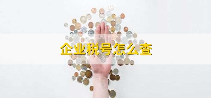 企业税号怎么查