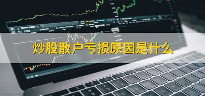 怎么查看一支股票散户数量