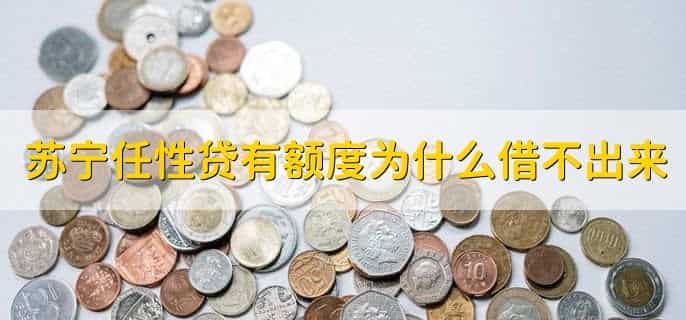 苏宁任性贷有额度为什么借不出来