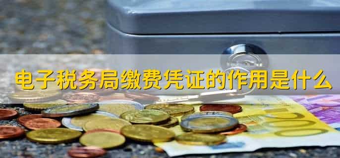 电子税务局缴费凭证在哪