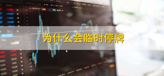 000开头的股票停牌规则
