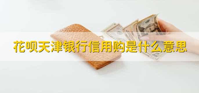 花呗天津银行信用购是什么意思，信用购物服务