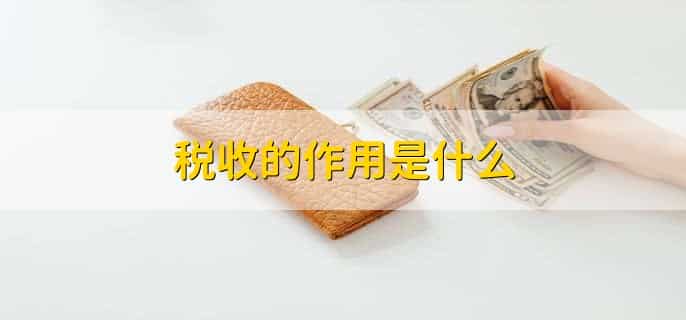 公司税务怎么申报