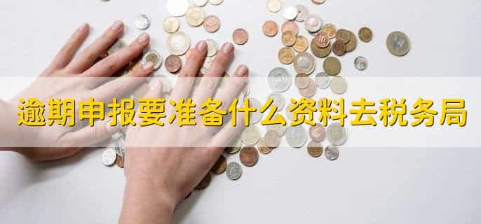 逾期申报要准备什么资料去税务局