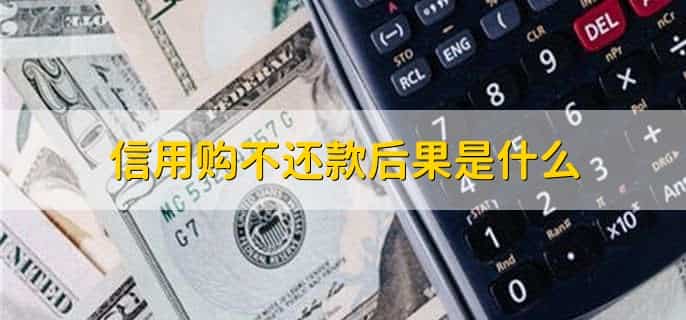 信用购不还款后果是什么