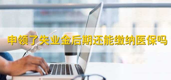 失业金领完了还能领失业补助金吗
