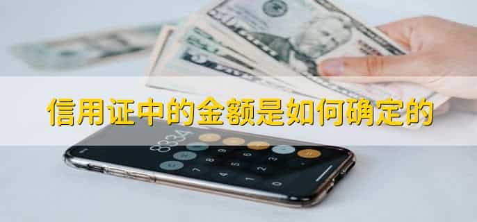drawee在信用证里面是什么意思