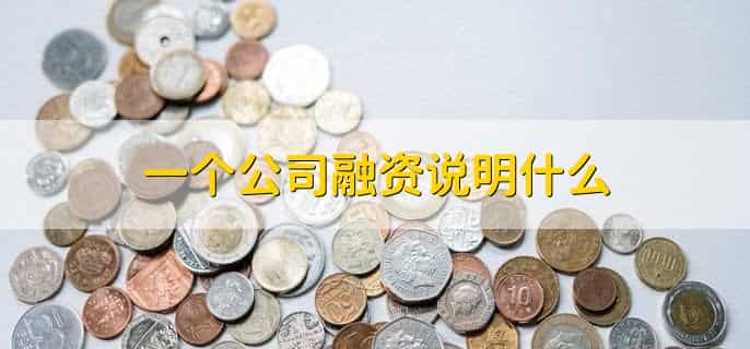 一个公司融资说明什么