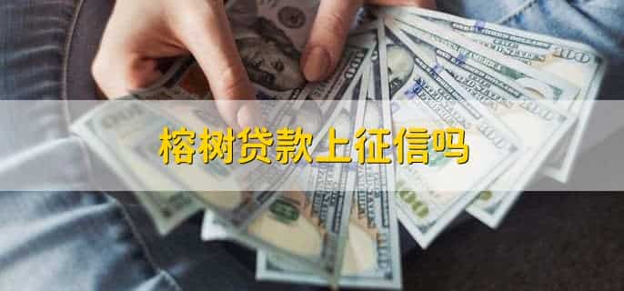 榕树贷款多久放款