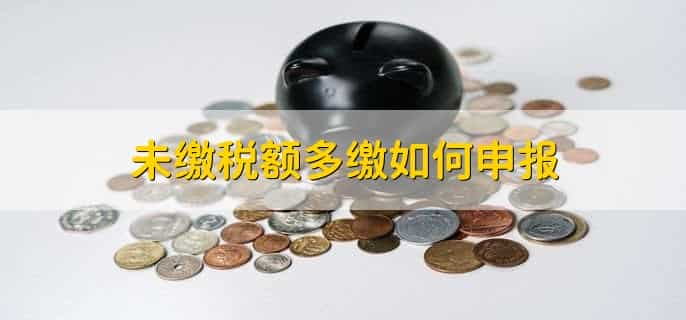 期初未缴税额多缴为负数是什么意思
