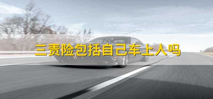 三责险包括自己车上人吗,不包括