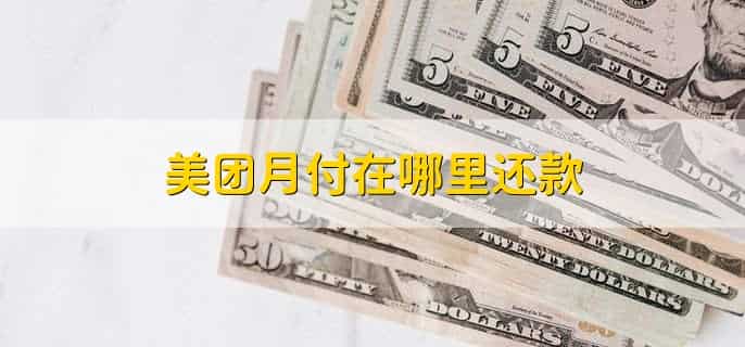 美团月付在哪里还款，在美团APP里