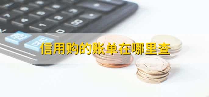 支付宝天津银行信用购是什么意思啊