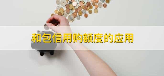 和包信用购额度怎么用