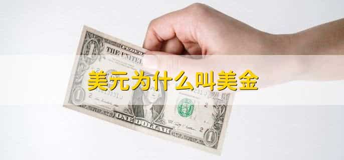 美元为什么叫美金