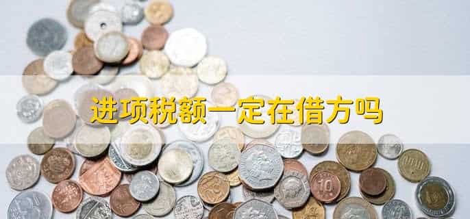 进项税额一定在借方吗