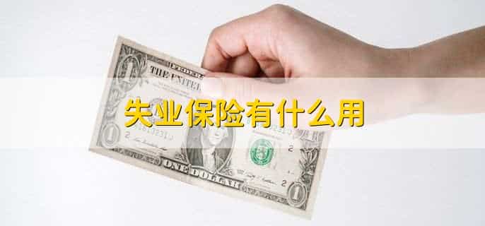 失业保险金几号打钱到卡号上