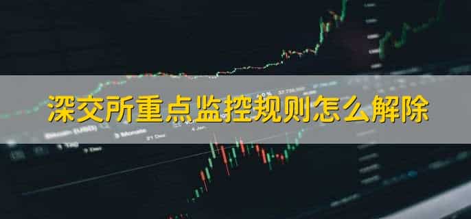 深交所重点监控规则
