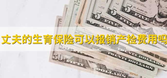 怎么查询生育险报销进度与额度