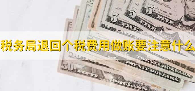 税务局退回个税费用如何做账