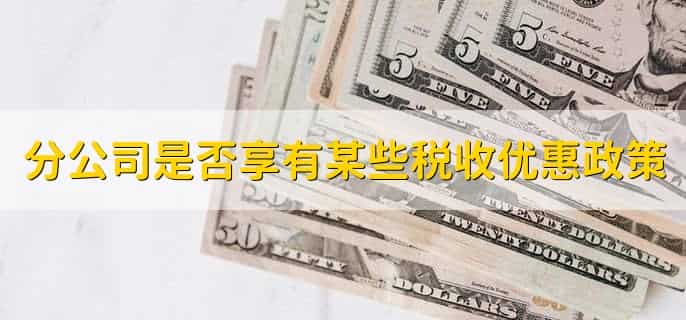分公司税收如何缴纳