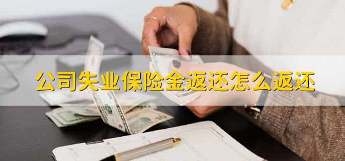 公司收到失业保险金怎么做账