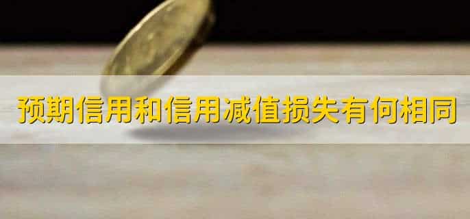 预期信用损失和信用减值损失的区别