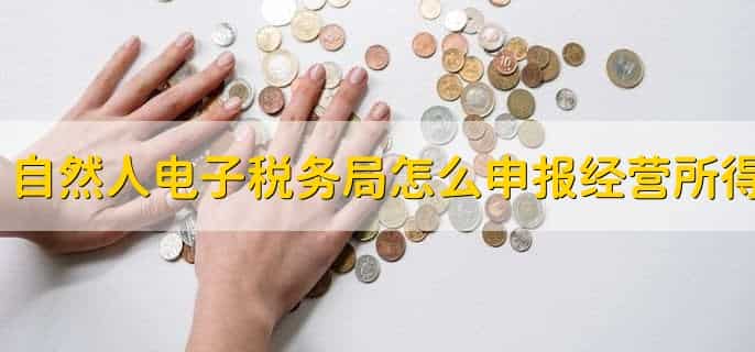自然人电子税务局怎么申报经营所得