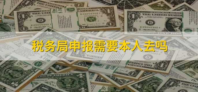 逾期申报要准备什么资料去税务局