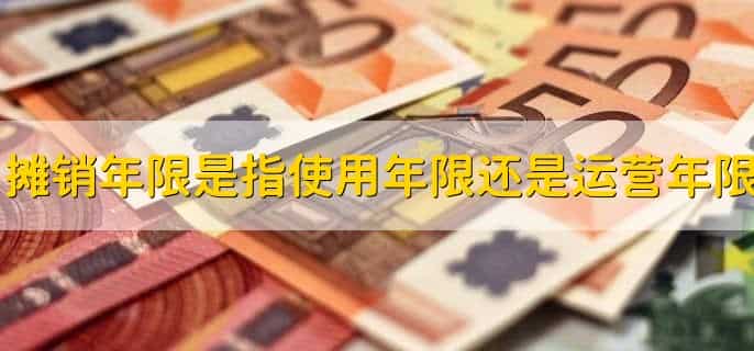 财务软件摊销年限