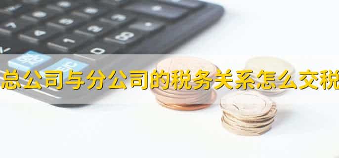 总公司与分公司的税务关系怎么交税