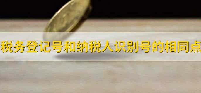 税务登记号和纳税人识别号是一样的吗