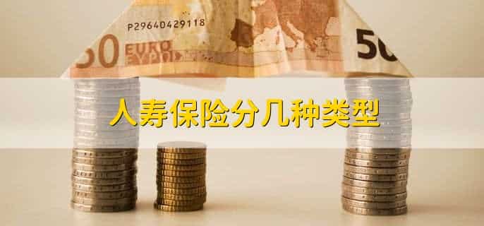 人寿保险查询个人保单查询