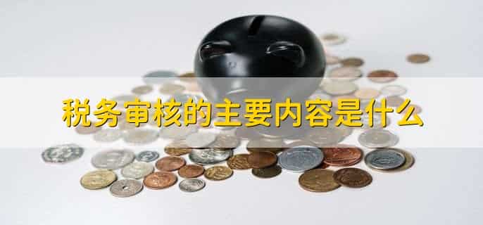 税务审核中需要多久