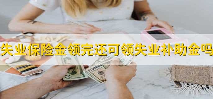 失业保险金领完了还可以领失业补助金吗,可以