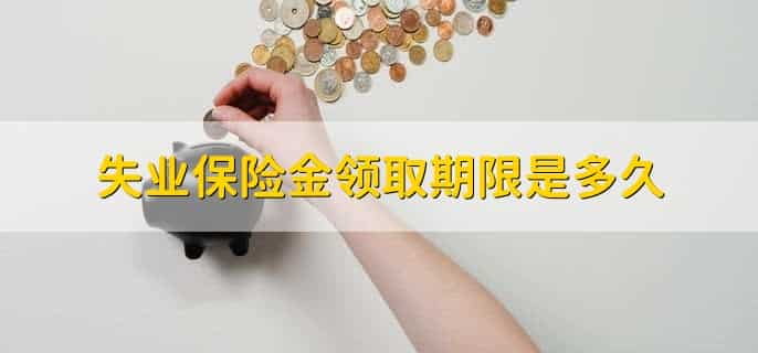 失业金怎么查询个人账户